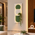 Modern LED Wall Shelf with Decorative Display